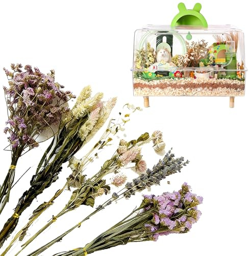 XineYuor hamster höblommor strö, torkade blommor för hamstrar, naturligt torkade blommor och växter hamster strö blommig hamsterbur tillbehör för sommar deodorisering landskapstillbehör