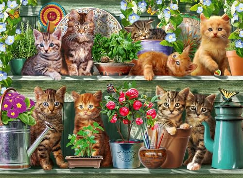Ravensburger Cats on the Shelf 500 Pieces Jigsaw Puzzle for Adults and Kids Age 10 Years Up