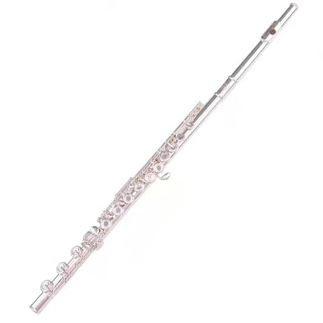 tvärflöjt instrument Flöjt 17-håls nybörjarflöjt professionellt flöjtinstrument