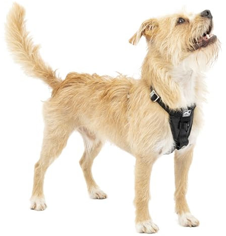 Kurgo Tru-Fit Hundegeschirr, Crash-Test-erprobtes Auto-Sicherheitsgurt, Für Hunde von 2 bis 5 kg, Größe S, Schwarz