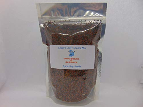 Logans Leafy Greens Mix Seeds for Sprouting microgreens, 8 oz Arugula, Curled Cress, Cabbage, Mustard Green. COOL BEANS n SPROUTS Brand,