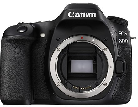 Canon Digital Spiegelreflexkamera Eos 80D Body Eos80D Jp F/S