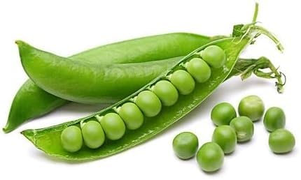 Graines de légumes de pois 100 pièces vertes