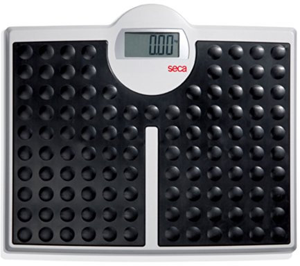 seca 813 High Capacity Digital Flat Scale for Individual Patient Use.