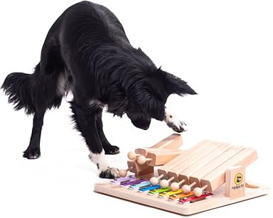 My Intelligent Dogs Interaktives Hundespielzeug Intelligenz - Intelligenzspielzeug für Hunde & Katze - Interaktives Spielzeug Hund, Katzenspielzeug - Denkspiele für Hunde - Piano