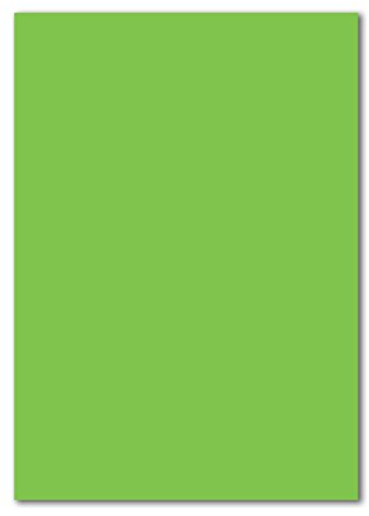 25 DIN A4 pappersbågar planoboger – ljusgrön – 240 g/m² – 21 x 29,7 cm – pysselbågar tonpapper fotokartong pysselpapper tonkartong – färgrFroh®