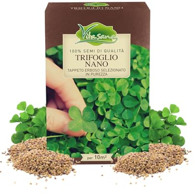 VitaSana Semi per Prato Trifoglio Nano – Tappeto Erboso Ornamentale in Purezza | Compatto, Calpestabile, Bassa Manutenzione, Ideale in Sole e Ombra | 200 g per 10 m²