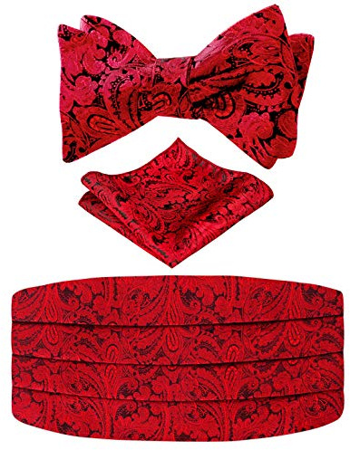 Alizeal herr solid / paisley fluga, kummerbund och anky set