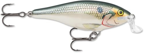 Rapala, Klassischer Angelköder, Shallow Shad Rap, Größe: 9cm/12g, Schwimmender Süßwasserköder, Schwimmtiefe: 1,8-2,4m, Angelgerät mit Balsa-Konstruktion, Silberblau SB