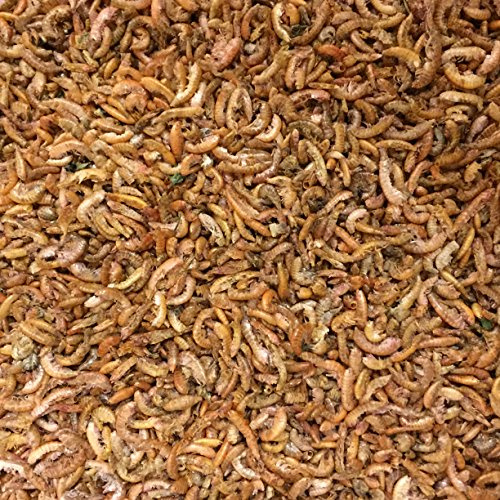 Freeze Dried Gammarus Shrimp Fish Food For Tropical and Marine, Turtle and Koi (50g)