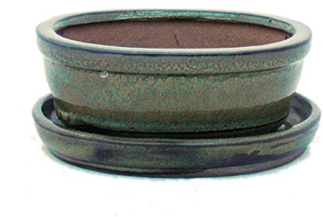 exotenhjärta bonsai med underlägg stor 1 – olivbrun – oval – modell O7 – L 12 cm – B 9,5 cm – H 4,5 cm