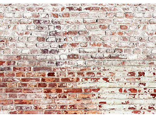Runa Art Papel tapiz fotográfico 396 x 280 cm Pared de piedra | Lana Decoración De Pared Sala Cuarto | Fabricación alemana | blanco Marrón 9083012b