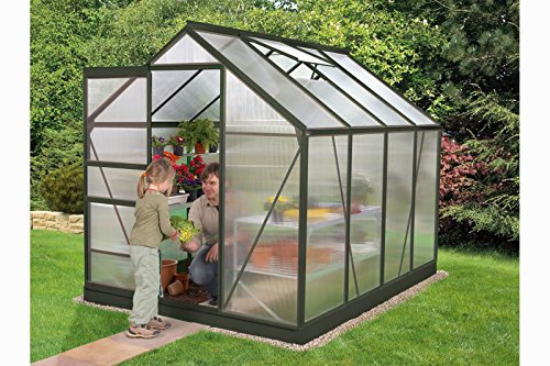 Vitavia Calypso 5800 adossée 6 mm 5,80 m², gris foncé
