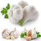 100 Unids Semillas de Ajo Hogar Jardín Patio Balcón Plantación Vegetal Nutritivo Planta Flor Árbol Frutal Semillas Vegetales Semillas de ajo