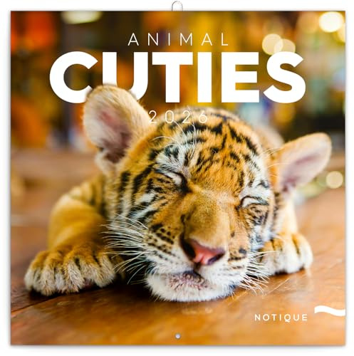 NOTIQUE Wall Calendar 2026 Baby Animal Calendar, Brochure Calendar with Monthly Calendar, Brochure Calendar Scented Calendar 30 x 30 cm (30 x 60 Open)