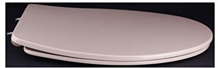 Grünblatt WC Sitz Slim Design Toilettendeckel oval Klodeckel mit Quick-Release-Funktion und Geräuschlose Absenkautomatik Antibakterielle Duroplast (Beige)