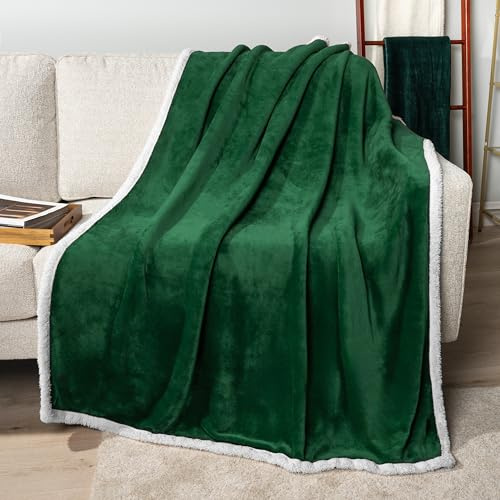 PAVILIA Sherpa Fleece Throw Blanket for Couch, Emerald Green, Plush Soft Fuzzy Sofa Blanket, Cozy Reversible Winter Throw for Women Men, 50x60 Inches