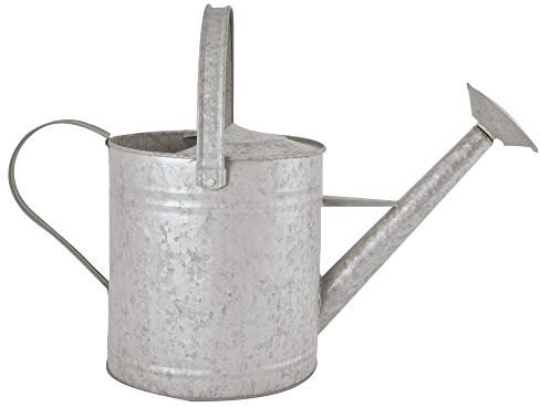 Fallen Fruits 3,5 L Arrosoir Zinc Vieilli