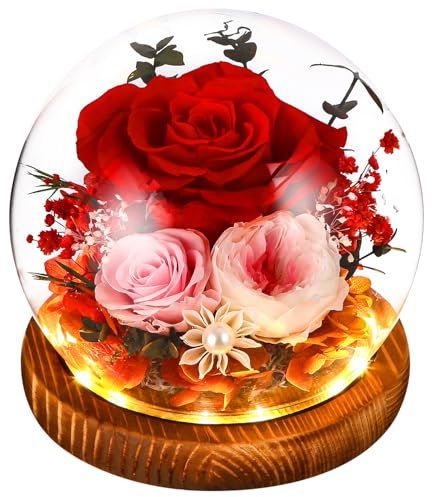 SOBEAU Rose Eternelle Fleur Eternel, Rose Eternelle sous Cloche pour Femme Maman, Noel Saint Valentin Fete Anniversaire, Cadeau Coffret
