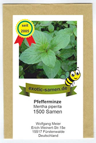 Pfefferminze - Mentha piperiata - 1500 Samen