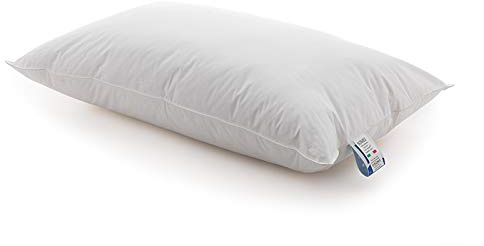 Demaflex Silver GUANCIALE Cuscino in 100% Piuma D'Oca + Federa Omaggio