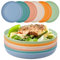 Worephu Unbreakable Dinner Plates, 6 Colors Reusable Lightweight Plates, Pizza/Pasta/Snack/Salad Plastic Dinner Sets for Home, Office, Picnic, Park
