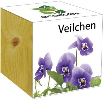 Extragreen Cube en bois violette de Feelgreen