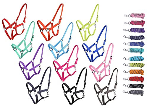 NETPROSHOP Halfter ODER Führstrick Einfarbig für Ihre Lieblinge Mini Shetty bis XL Full, Groesse:Mini Shetty, Farbe:Rosa