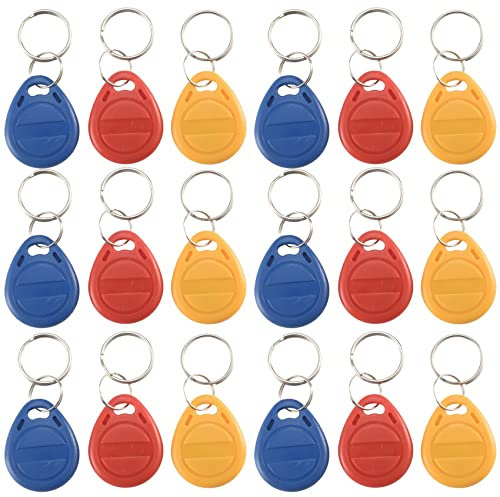 T5577 Blanko-Schlüsselanhänger RFID-Chip-Ring-Karten Tags Keytag 125 kHz Kopie wiederbeschreibbar beschreibbar Duplikat 50 Stück