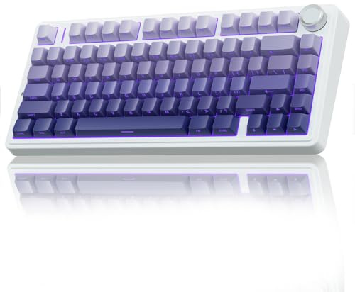 AULA F75 Mechanische Tastatur Gaming,2.4GHz/Type-C/BT5.0 Kabellos Gaming Tastatur 75 Prozent,Seitlich Graviert,Gasket Struktur,Hot-Swap Wireless Tastatur RGB,QWERTY (Violett mit Farbverlauf)