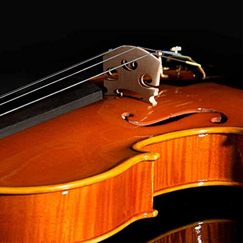 RiToEasysports Puente de Violín de Arce, Juego de 5 para Estudiantes, Accesorio Finamente Elaborado con Línea Clara, Tamaños 3/4, 1/2, 1/8, /4, Material de Arce (Juego de cinco teclados para violín