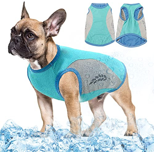 Gilet rafraîchissant léger pour chien, t-shirt de sécurité respirant, résistant au soleil, protection UV, veste rafraîchissante pour chien avec bande réfléchissante pour le printemps et l'été, gilet
