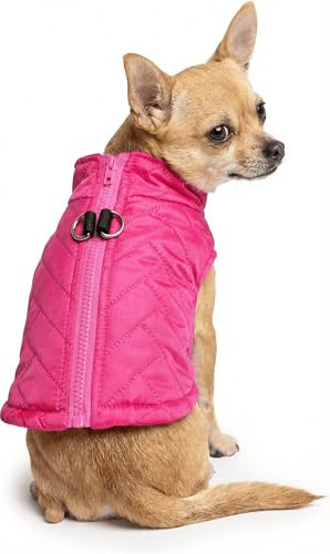Small Dog Coats Warm Winter Coat Pet Dog Jackets Waterproof Clothes for Small Medium Dogs Girl