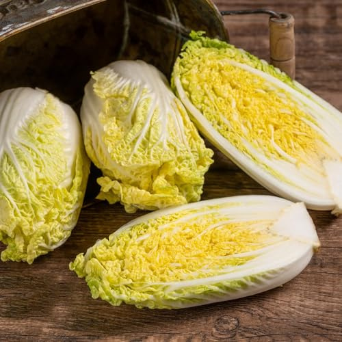 Semi di cavolo cinese - da giardino roccioso resistenti Semi di Pak Choi - da appartamento verdi semi per aiuole rialzate tappezzante vecchie 100pcs