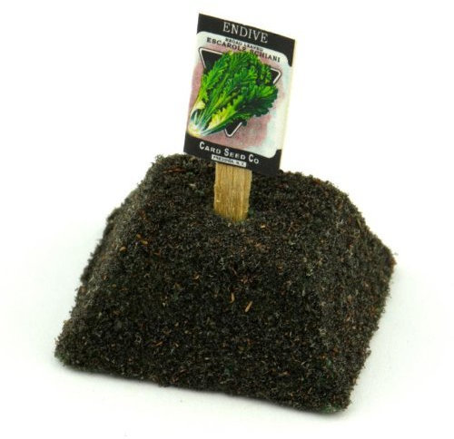 MyTinyWorld Dolls House Miniature Endive Seed Packet With A Stick