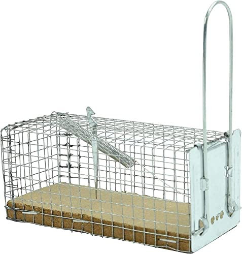 Nasse à Souris, Socle en Bois