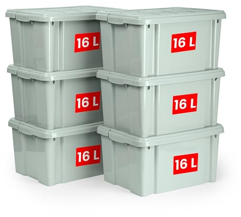 PlasticForte – Pack de Cajas de Almacenamiento con Tapa - Plástico Resistente, Apilables y Transparentes - Organizador