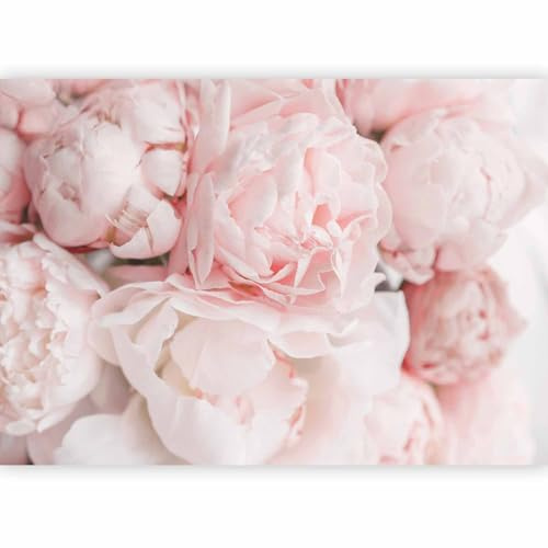 murando - Papier peint panoramique nature 350x256 cm - Revêtement mural décoration salon - Design moderne - Marron rose gris - Rose les plantes nature bouquet fleurs pivoines b-C-10086-a-a