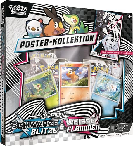 Pokémon - Gioco di carte collezionabili: collezione di poster Einall (3 carte promozionali olografiche e 4 boosterpack)