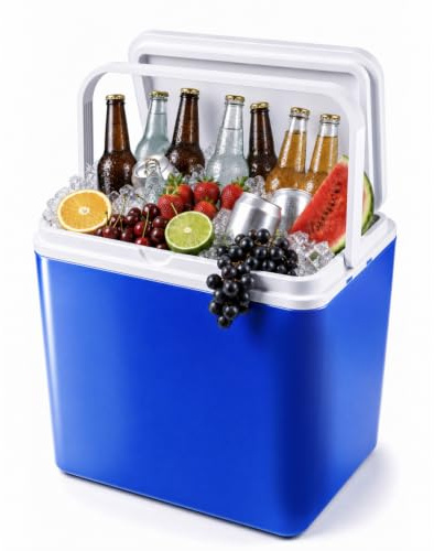 Voyager Insulated Cool Box, 9-12 Hrs Cooling, Camping & Picnic, 24L/30L | High-Density Plastic, Leak-Resistant Locking Lid, Sturdy Carry Handle, Camping/Beach/BBQ/Festival/Fishing