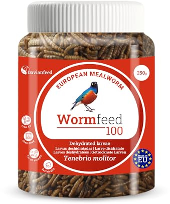 Wormfeed 100 - Verm Premium 250 g - Larve de Ténébrion pour Oiseaux, Reptiles, Rongeurs, Poissons - Riche en Protéines avec Oméga 3 et 6 - Élevé en Europe - Davianfeed