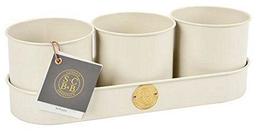 Burgon & Ball Sophie Conran Herb Pot 3-Piece Set, Buttermilk