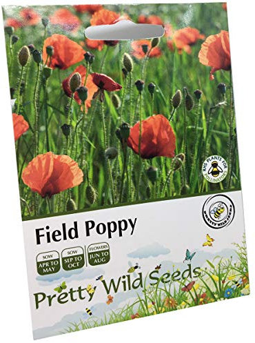 5g Common Field Poppy Seeds in Pictorial Packet from a UK Seller Approx. 50,000 Papaver Rhoeas Wildflower Seeds for Meadows and Remembrance