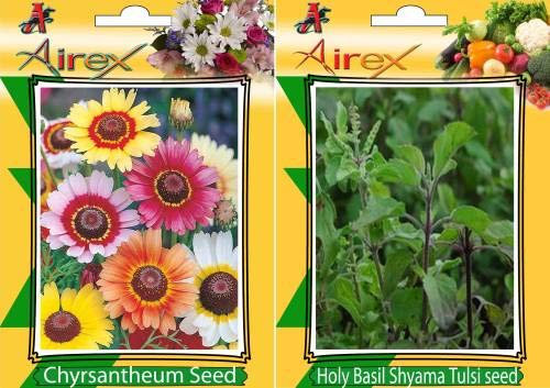 Crisantemo y Santo Basilio