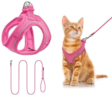 Qianruida Imbracatura per gatti traspirante e regolabile, guinzaglio per gatti con riflettente, collari, imbracatura e guinzagli per gatto e cagnolino per camminare, correre (ROSEO XS)