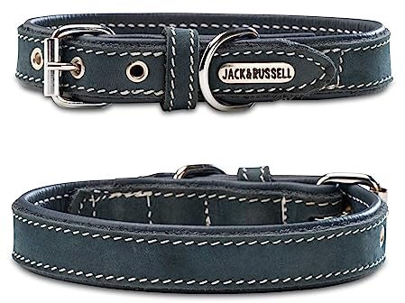 Hundehalsband aus Leder in Petrol/Blau– gepolstertes Lederhalsband für kleine & große Hunde - Halsband Bella (M (31,5-40,0cm))