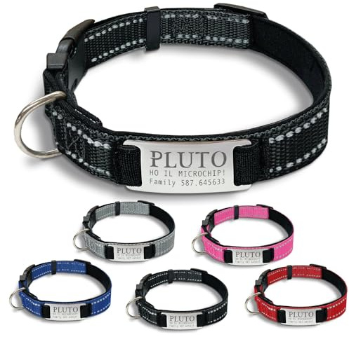 Gruppo Veneziano - collare cane personalizzato - collare cane personalizzabile con targhetta in metallo - linee Catarifrangenti - clip in abs - gancio per guinzaglio
