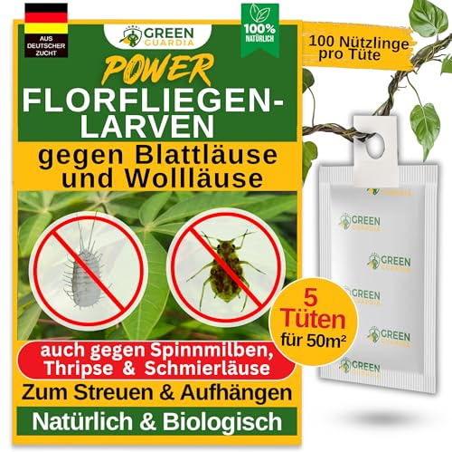 GREEN GUARDIA Power – Uova contro afidi e pidocchi – 5 sacchetti – Agente biologico per efficace lotta contro afidi e pidocchi di lana per piante da interno e ornamentali e molto altro ancora.