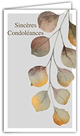 24-1029 - Tarjeta de condolencias (16 x 9,5 cm, con sobres blancos, rama de árboles, hojas redondas, colores otoño), fabricado en Francia