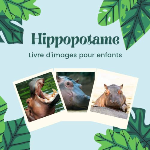 Livre d'images pour enfants - Hippopotame: Découvrir le Hippopotame en image - Enfants de 2 à 5 ans